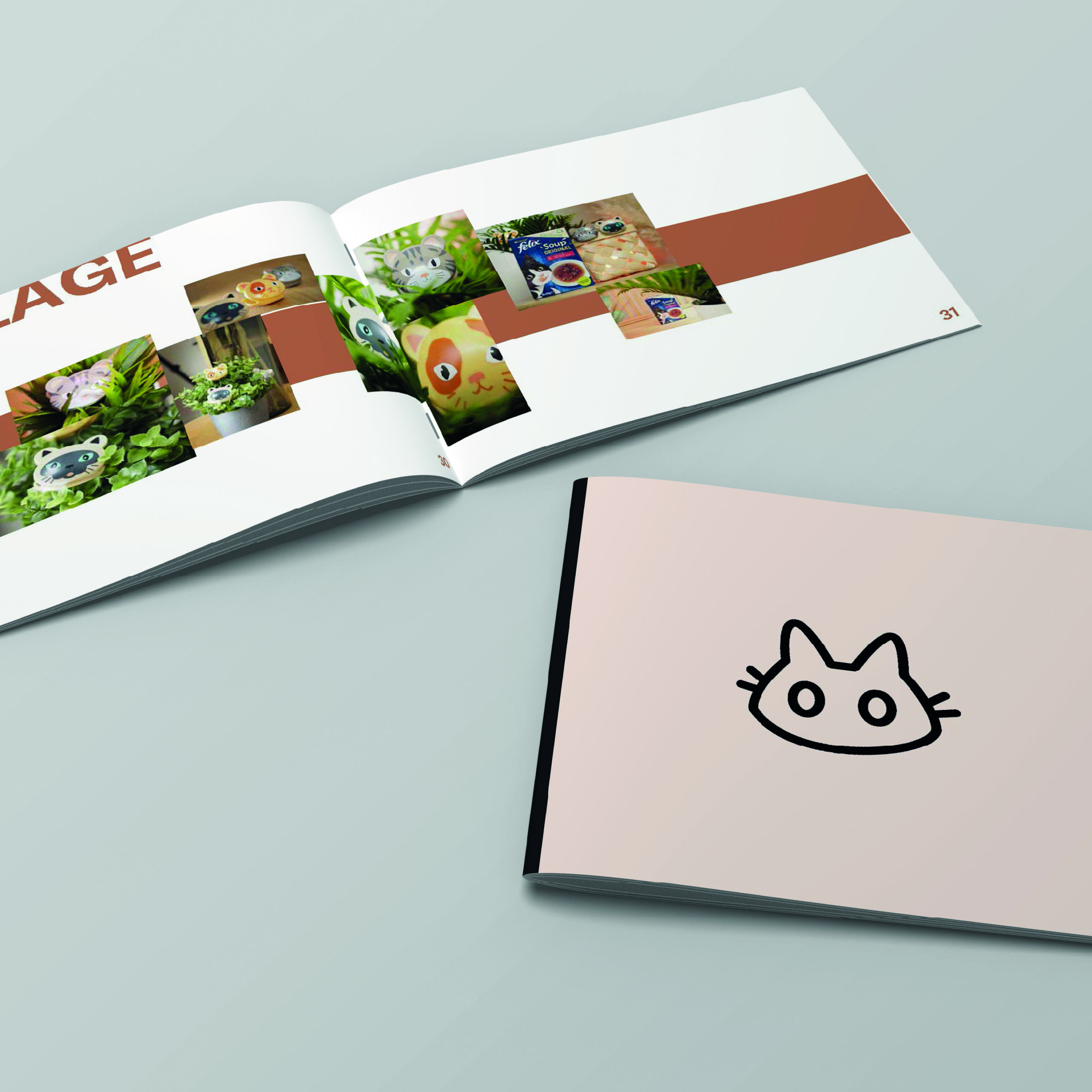 mockup branding